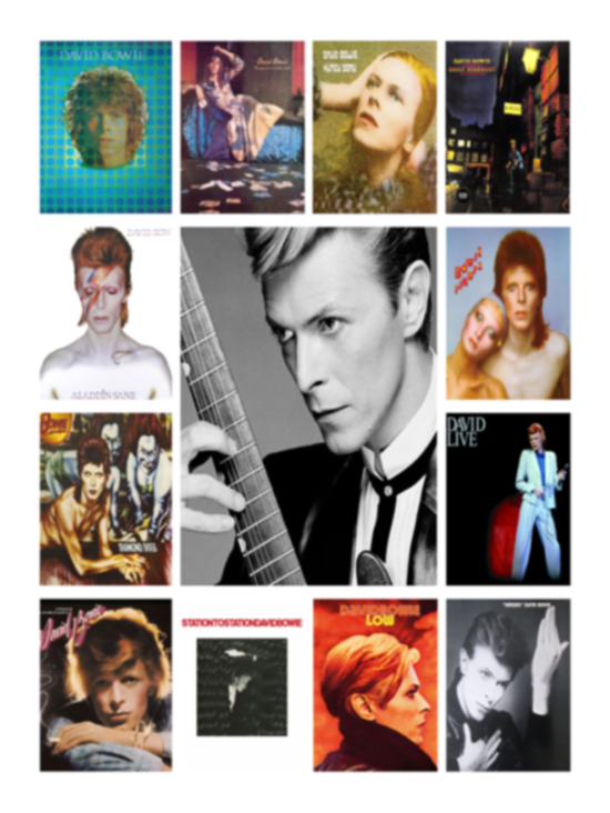 David Bowie Fleece Blanket, Premium Sherpa Blanket, David Bowie Blanket, David Bowie Fans Gift, Movie Characters Blanket VPS Cozy Plush Fleece Blanket - 30x40