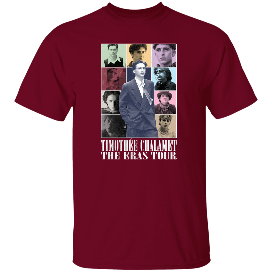 Timothee Chalamet Eras Tour T-Shirt - ID02102444