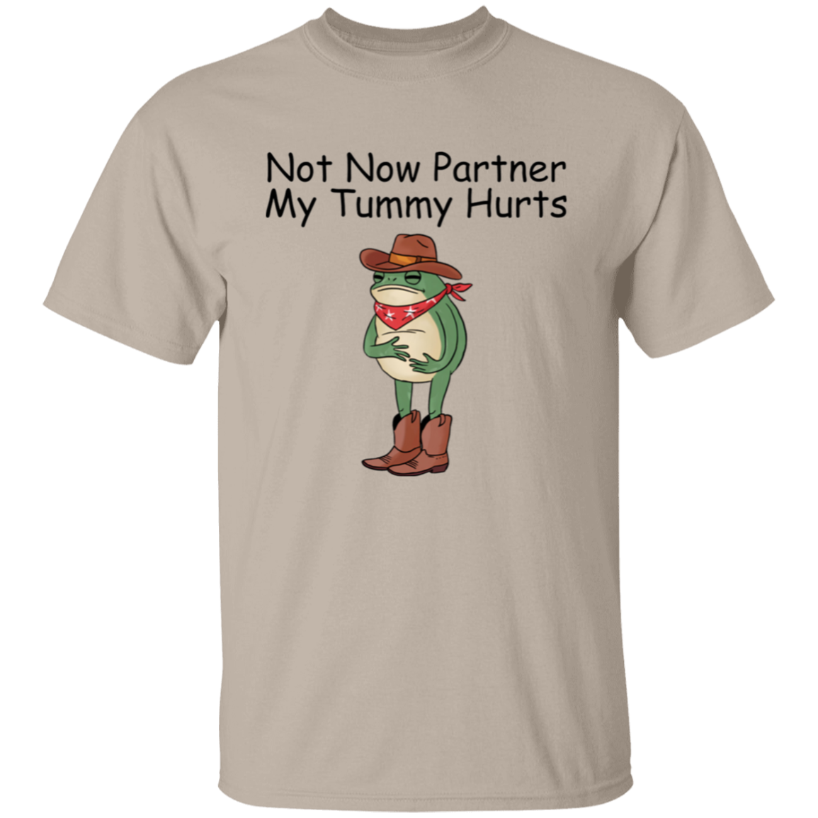 Not Now Partner My Tummy Hurts T-Shirt