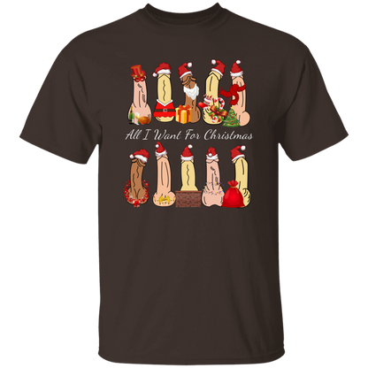 All I Want For Christmas Dirty Santa Gift  T-Shirt