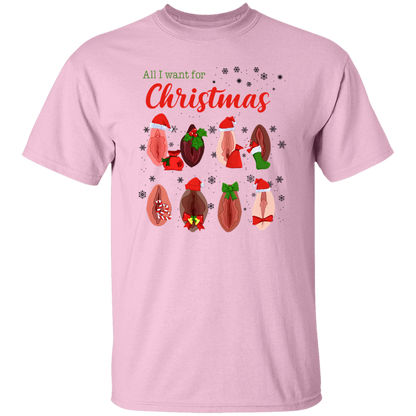 Dirty Christmas All I Want for Christmas Is Vagina Funny Dirty Christmas Gift for Couple T-Shirt