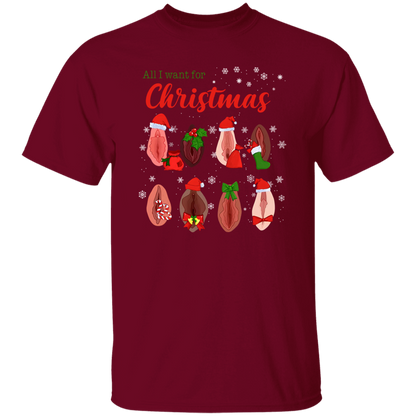 Dirty Christmas All I Want for Christmas Is Vagina Funny Dirty Christmas Gift for Couple T-Shirt