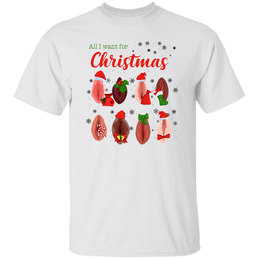 Dirty Christmas All I Want for Christmas Is Vagina Funny Dirty Christmas Gift for Couple T-Shirt