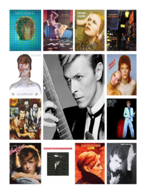 David Bowie Fleece Blanket, Premium Sherpa Blanket, David Bowie Blanket, David Bowie Fans Gift, Movie Characters Blanket	VPS Cozy Plush Fleece Blanket - 30x40