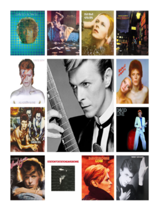 David Bowie Fleece Blanket, Premium Sherpa Blanket, David Bowie Blanket, David Bowie Fans Gift, Movie Characters Blanket	VPS Cozy Plush Fleece Blanket - 30x40