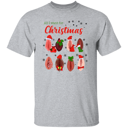 Dirty Christmas All I Want for Christmas Is Vagina Funny Dirty Christmas Gift for Couple T-Shirt