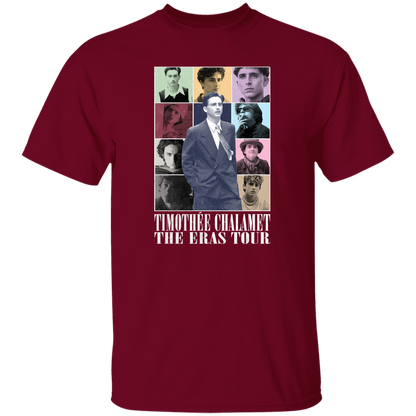 Timothee Chalamet Eras Tour  T-Shirt - ID02102444