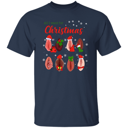 Dirty Christmas All I Want for Christmas Is Vagina Funny Dirty Christmas Gift for Couple T-Shirt