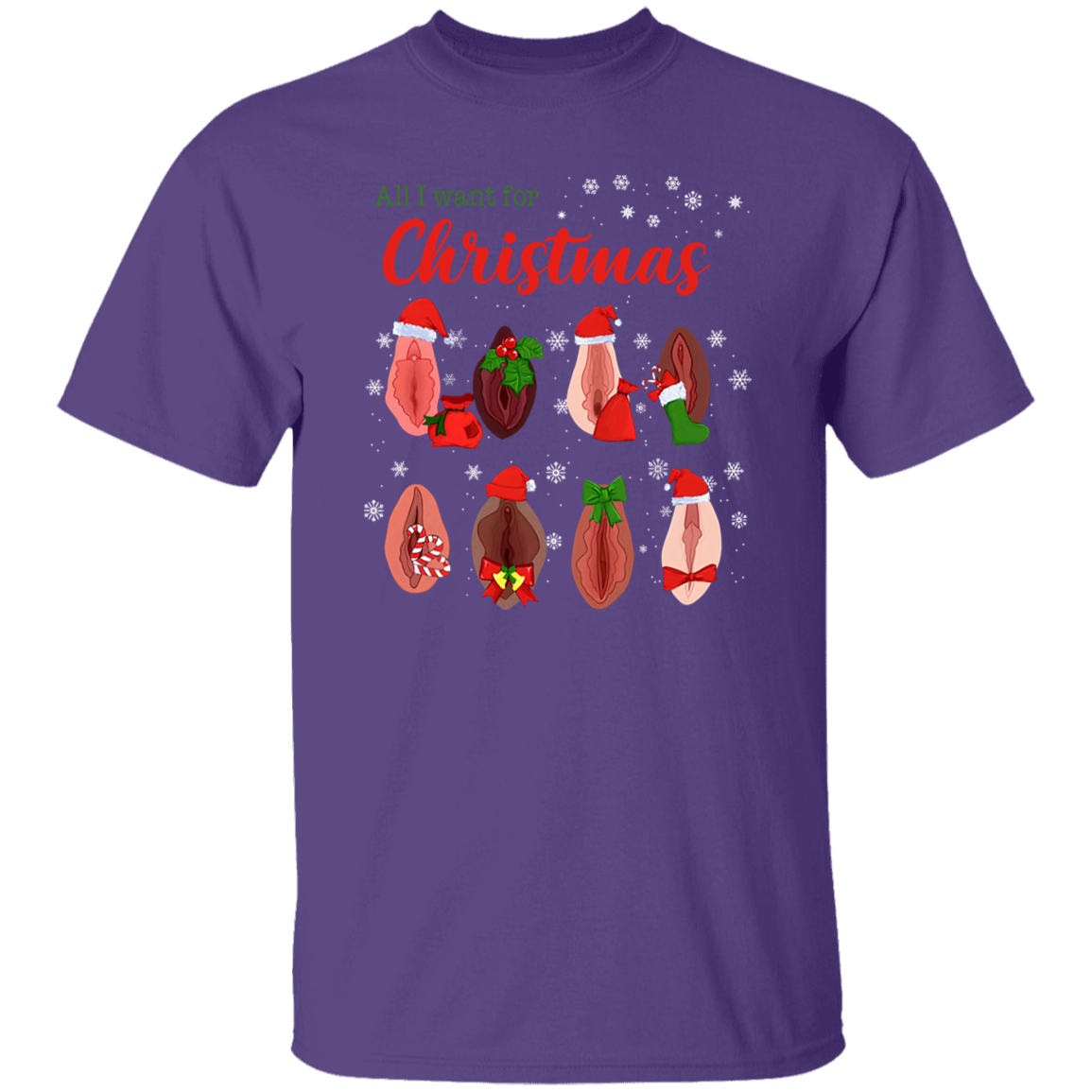 Dirty Christmas All I Want for Christmas Is Vagina Funny Dirty Christmas Gift for Couple T-Shirt