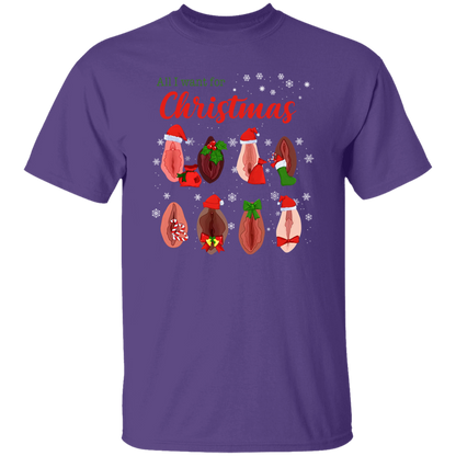 Dirty Christmas All I Want for Christmas Is Vagina Funny Dirty Christmas Gift for Couple T-Shirt