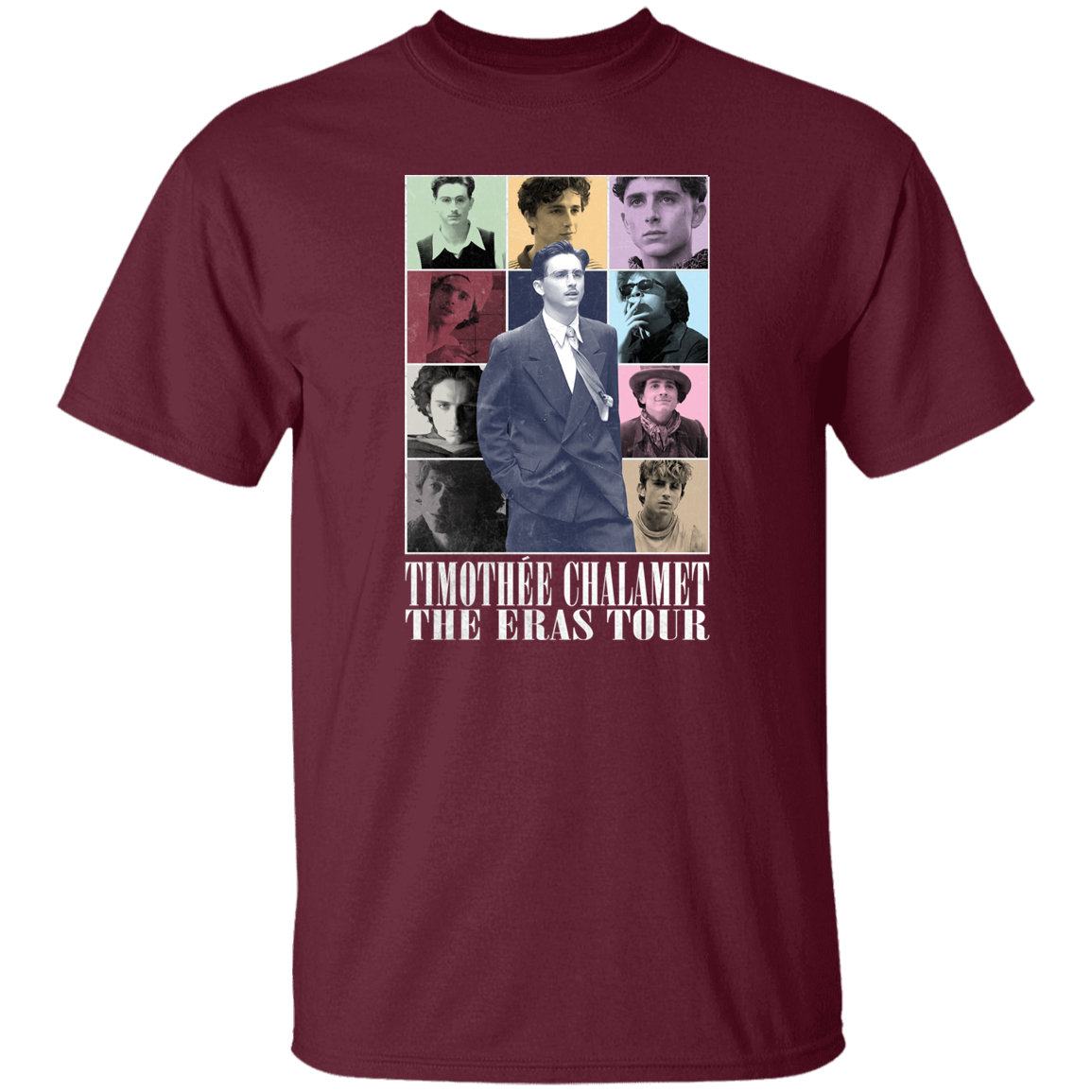 Timothee Chalamet Eras Tour  T-Shirt - ID02102444