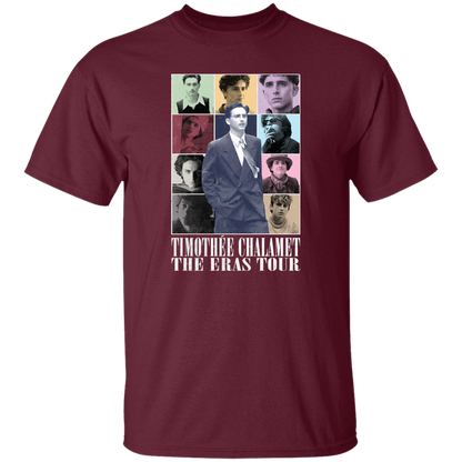 Timothee Chalamet Eras Tour  T-Shirt - ID02102444