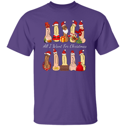 All I Want For Christmas Dirty Santa Gift  T-Shirt