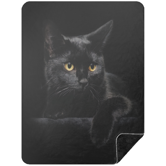 Black Cat Fleece Blanket, Premium Sherpa Blanket, Cat Blanket, Black Cat Quilt, Black Cat Lovers Blanket, Pet Blanket	BSHL Premium Black Sherpa Blanket 60x80