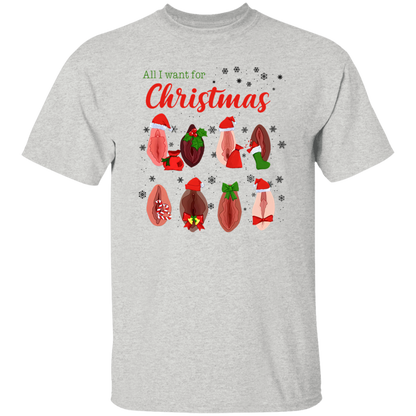 Dirty Christmas All I Want for Christmas Is Vagina Funny Dirty Christmas Gift for Couple T-Shirt