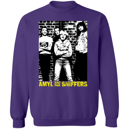 Punk Rock Amyl And The Sniffers  Sweatshirt