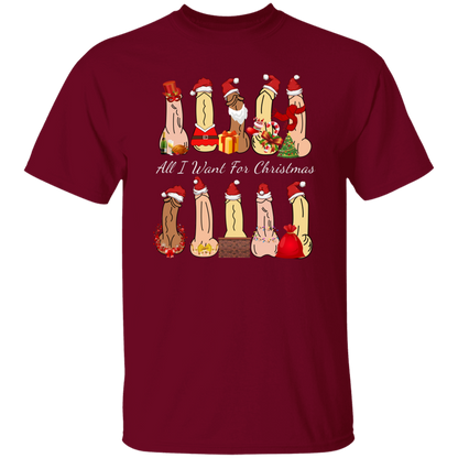 All I Want For Christmas Dirty Santa Gift  T-Shirt