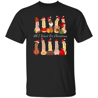 All I Want For Christmas Dirty Santa Gift  T-Shirt