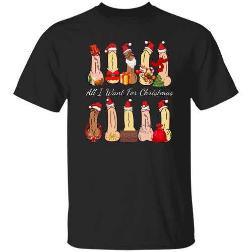 All I Want For Christmas Dirty Santa Gift  T-Shirt