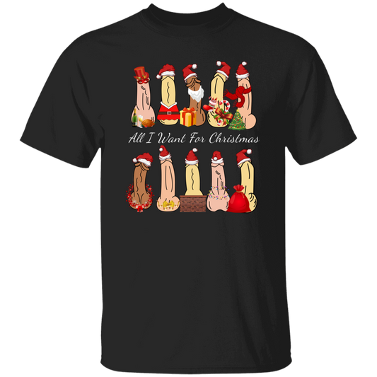 All I Want For Christmas Dirty Santa Gift  T-Shirt
