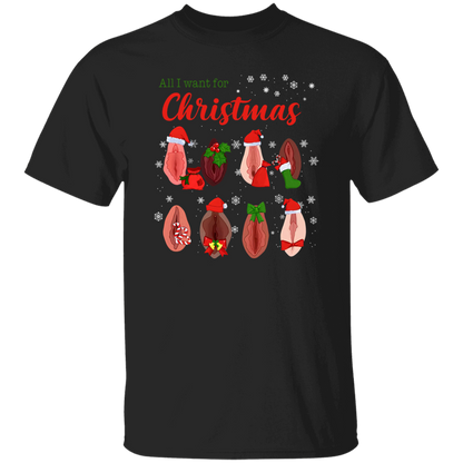 Dirty Christmas All I Want for Christmas Is Vagina Funny Dirty Christmas Gift for Couple T-Shirt
