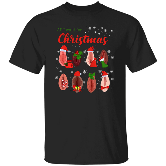 Dirty Christmas All I Want for Christmas Is Vagina Funny Dirty Christmas Gift for Couple T-Shirt