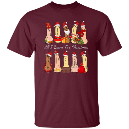 All I Want For Christmas Dirty Santa Gift  T-Shirt