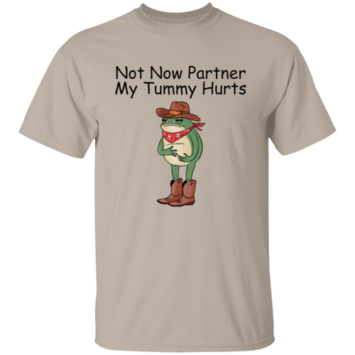 Not Now Partner My Tummy Hurts T-Shirt