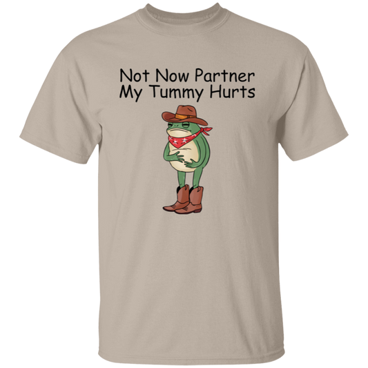Not Now Partner My Tummy Hurts T-Shirt