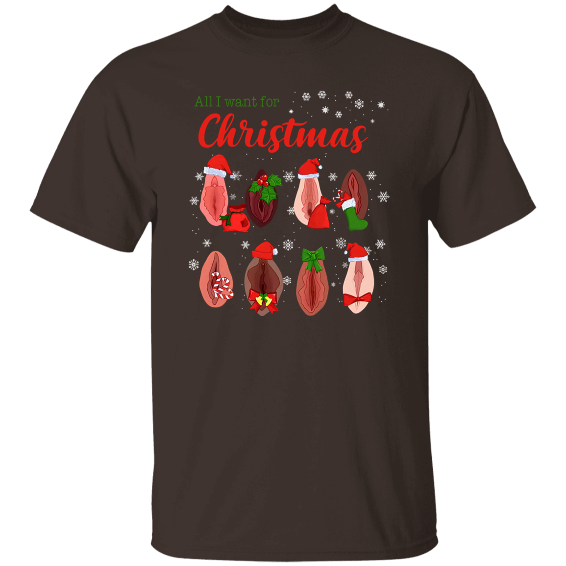 Dirty Christmas All I Want for Christmas Is Vagina Funny Dirty Christmas Gift for Couple T-Shirt