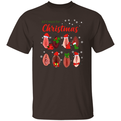 Dirty Christmas All I Want for Christmas Is Vagina Funny Dirty Christmas Gift for Couple T-Shirt