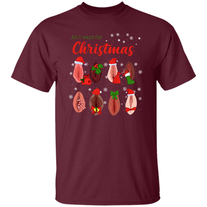 Dirty Christmas All I Want for Christmas Is Vagina Funny Dirty Christmas Gift for Couple T-Shirt