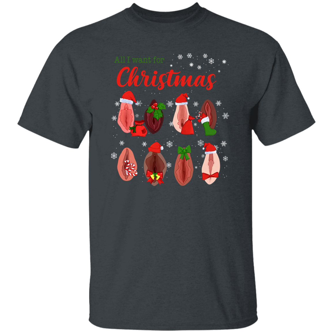 Dirty Christmas All I Want for Christmas Is Vagina Funny Dirty Christmas Gift for Couple T-Shirt