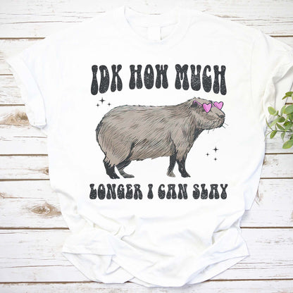 Idk How Much Longer I Can Slay Shirt, Capybara Meme Shirt