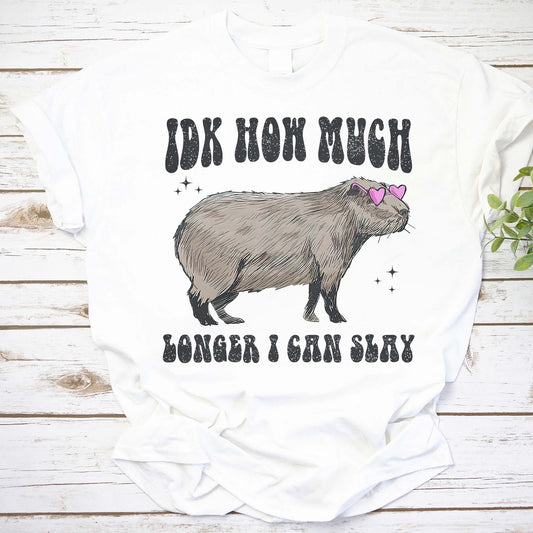 Idk How Much Longer I Can Slay Shirt, Capybara Meme Shirt