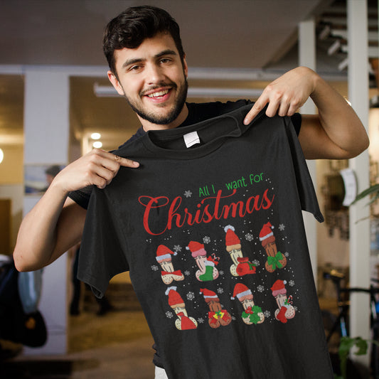 All I Want for Christmas Funny Santa Hat Socks T-Shirt